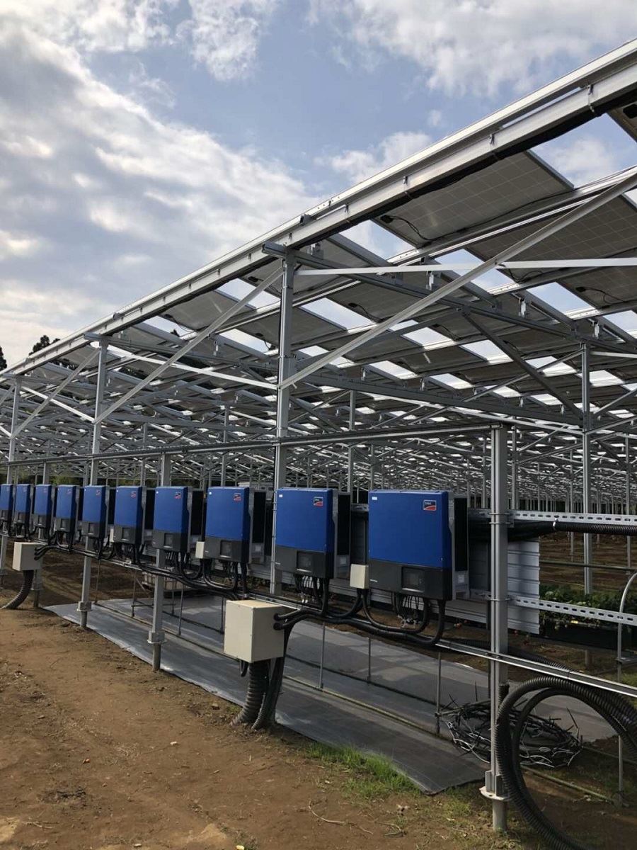 solar farm mount