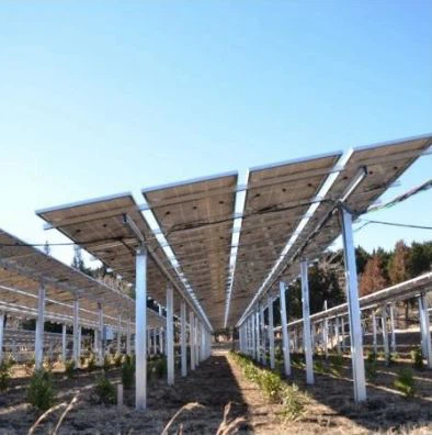 太陽光発電地上設置システム